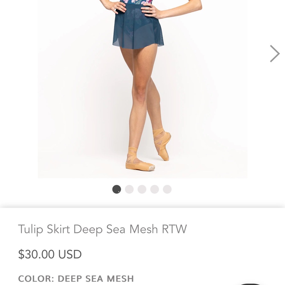 NWT - Eleve Dancewear Tulip Skirt